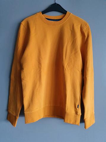 Nieuwe sweater van EDC by Esprit maat S beschikbaar voor biedingen