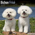 Calendrier Bichon Frise 2017, Enlèvement ou Envoi, Calendrier annuel, Neuf