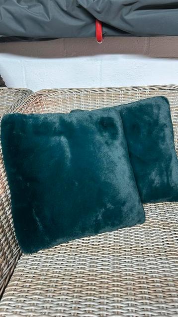 2 donkergroene zachte kussens (40x40cm) beschikbaar voor biedingen