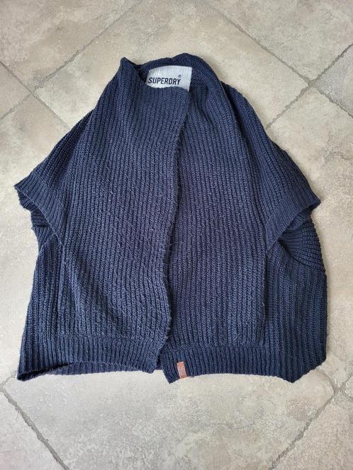Merk Superdry: warme trui mt Large (zie foto's), Kleding | Dames, Truien en Vesten, Gedragen, Maat 42/44 (L), Blauw, Ophalen of Verzenden