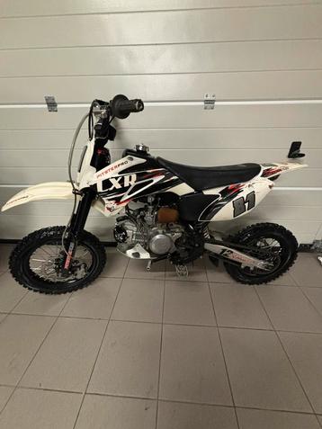 Pitsterpro Lxr 160 cross/supermoto