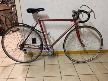 Fietsen aan 50€ per stuk beschikbaar voor biedingen