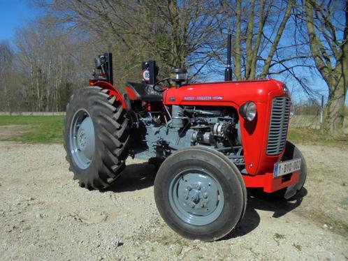 Ferguson 35 - 65 en 100 series Restauratie en revisie, Zakelijke goederen, Landbouw | Tractoren, tot 2500, Massey Ferguson, tot 80 Pk