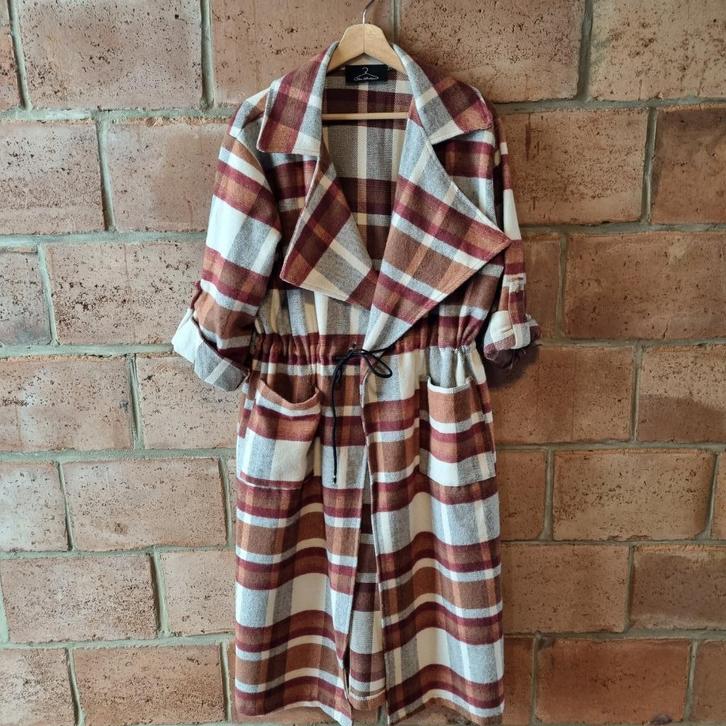 Geruite jas, Kleding | Dames, Jassen | Winter, Zo goed als nieuw, Overige kleuren, Ophalen of Verzenden