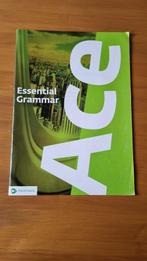 ACE Essential Grammar, Boeken, Schoolboeken, Ophalen of Verzenden, Zo goed als nieuw, Engels