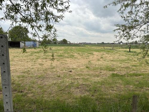 Weide van 94a 60ca – ‘De Heyde’ – Vlot bereikbaar, Immo, Gronden en Bouwgronden, 1500 m² of meer