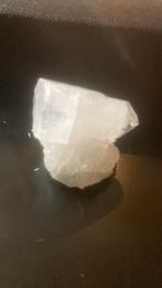 Zeekristal, Verzamelen, Ophalen of Verzenden, Schelp(en)