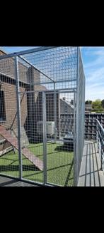 Kattenren, Dieren en Toebehoren, Katten-accessoires, Ophalen, Gebruikt