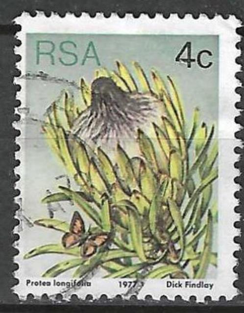 Zuid-Afrika 1977 - Yvert 419 - Langbladige suikerstruik (ST), Timbres & Monnaies, Timbres | Afrique, Affranchi, Afrique du Sud