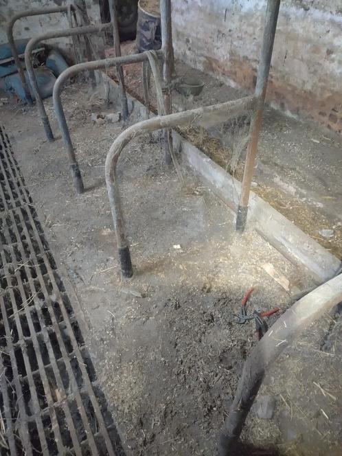 Stalinrichting voor bindstal koeien , lage prijs, Zakelijke goederen, Landbouw | Onroerend goed, Melkveehouderij, Ophalen