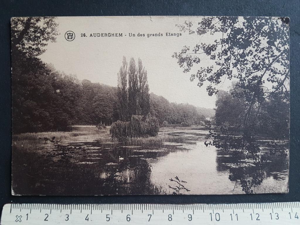 Postkaart Auderghem Oudergem Un des grands Etangs, Verzamelen, Postkaarten | België, Ongelopen, Brussel (Gewest), 1920 tot 1940