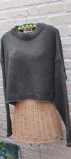 Kort truitje maat xl coolcat, Taille 46/48 (XL) ou plus grande, Enlèvement ou Envoi, Autres couleurs, Comme neuf