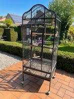 Grote Vogel kooi, Dieren en Toebehoren, Ophalen of Verzenden, Gebruikt, Metaal, Vogelkooi