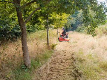 Landbouwgrond te buggenhout, opstal,5515m2 beschikbaar voor biedingen