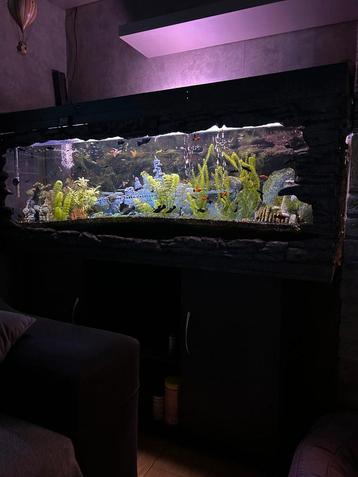 Aquarium +meubel beschikbaar voor biedingen