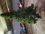 Kerstboom 1,80cm hoog nieuwprijs 100€ nu 40€, Tuin en Terras, Planten | Bomen, Ophalen