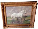 Albert Caullet "paard" 1875-1950., Antiek en Kunst, Kunst | Schilderijen | Klassiek, Ophalen of Verzenden