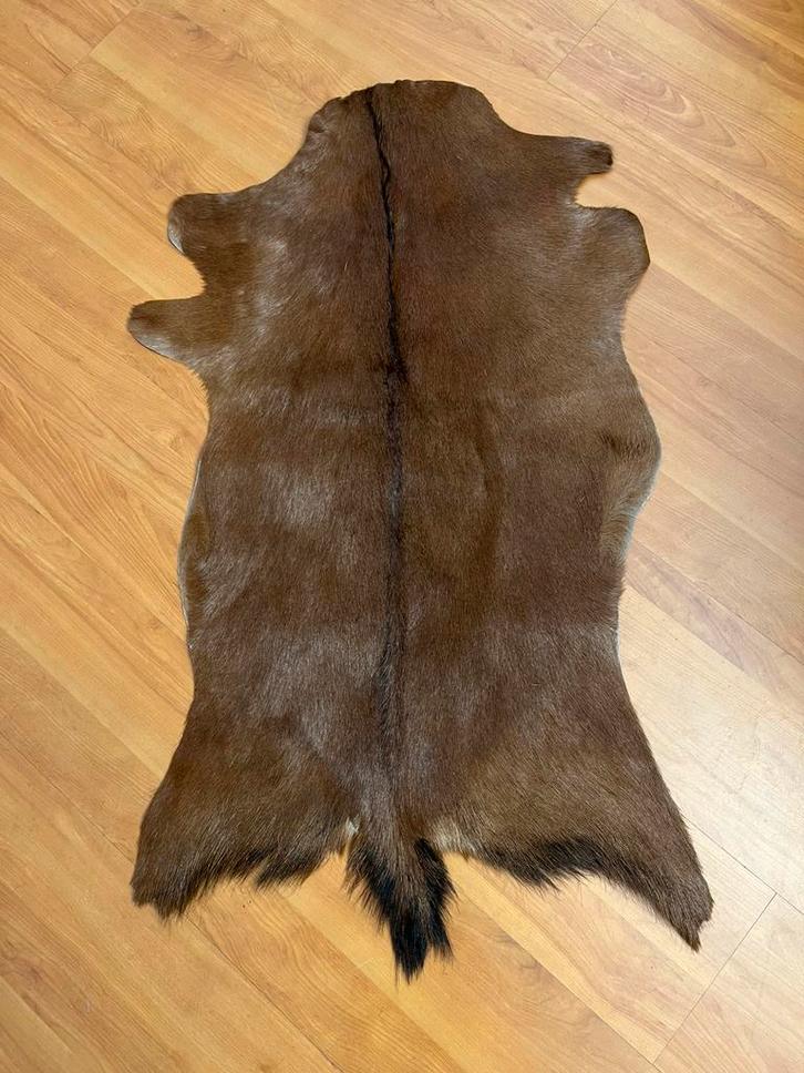 Geitenvacht, geitenhuid, geitenvel 95/60, Antiek en Kunst, Antiek | Tapijten, Tafelkleden en Textiel, Ophalen of Verzenden