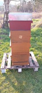 Ruche Warré complète, Enlèvement