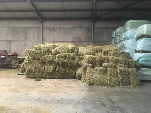 kleine balen hooi te koop, Dieren en Toebehoren, Konijnen
