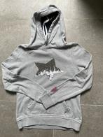 Trui van tommy hilfiger, Kleding | Dames, Truien en Vesten, Maat 38/40 (M), Tommy hilfiger, Ophalen of Verzenden, Grijs