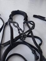 Hoofdstel ponny, Enlèvement, Comme neuf, Dressage