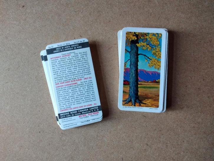 Trees of North America complete set 48 bomen chromos, Collections, Photos & Gravures, Gravure, Nature, 1960 à 1980, Enlèvement ou Envoi