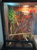 Terrarium exo terra 90x60x45, Dieren en Toebehoren, Ophalen of Verzenden, Gebruikt, Terrarium of Paludarium