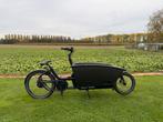 Urban Arrow Family Cargo, Fietsen en Brommers, Ophalen, Zo goed als nieuw, Overige merken, Elektrisch