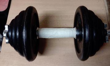Dumbell Halter 15 kg beschikbaar voor biedingen
