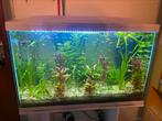 Aquarium, Ophalen, Zo goed als nieuw