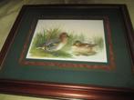 te  koop 2  kaders  eenden, Antiek en Kunst, Ophalen of Verzenden