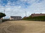 Stallen te huur!, Dieren en Toebehoren, Stalling
