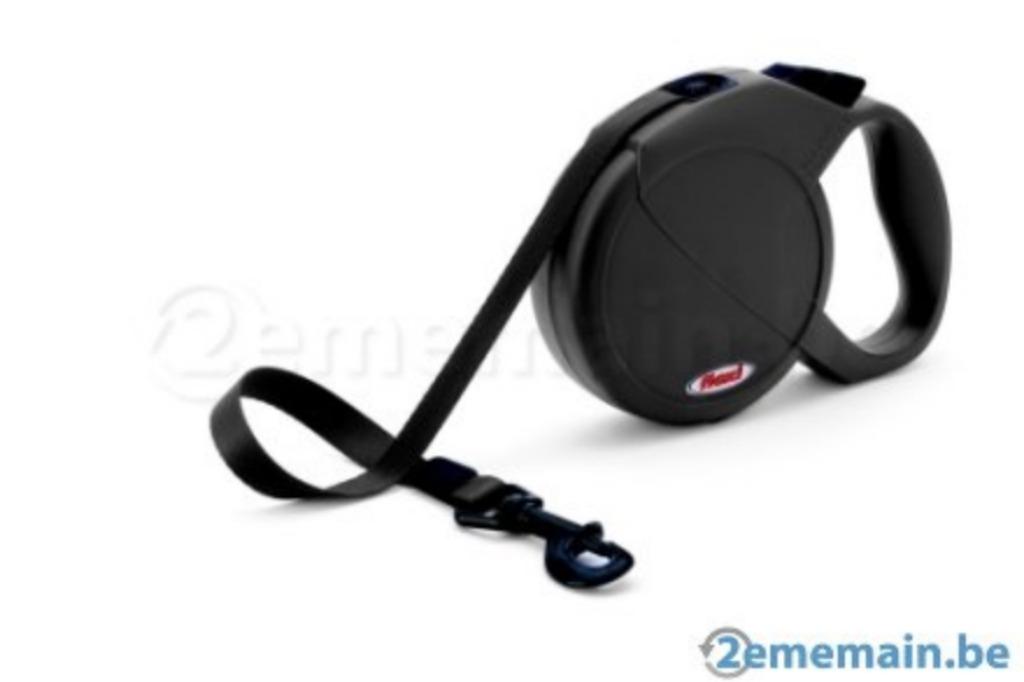 Flexy large, Animaux & Accessoires, Enlèvement, Neuf, Laisse pour chien