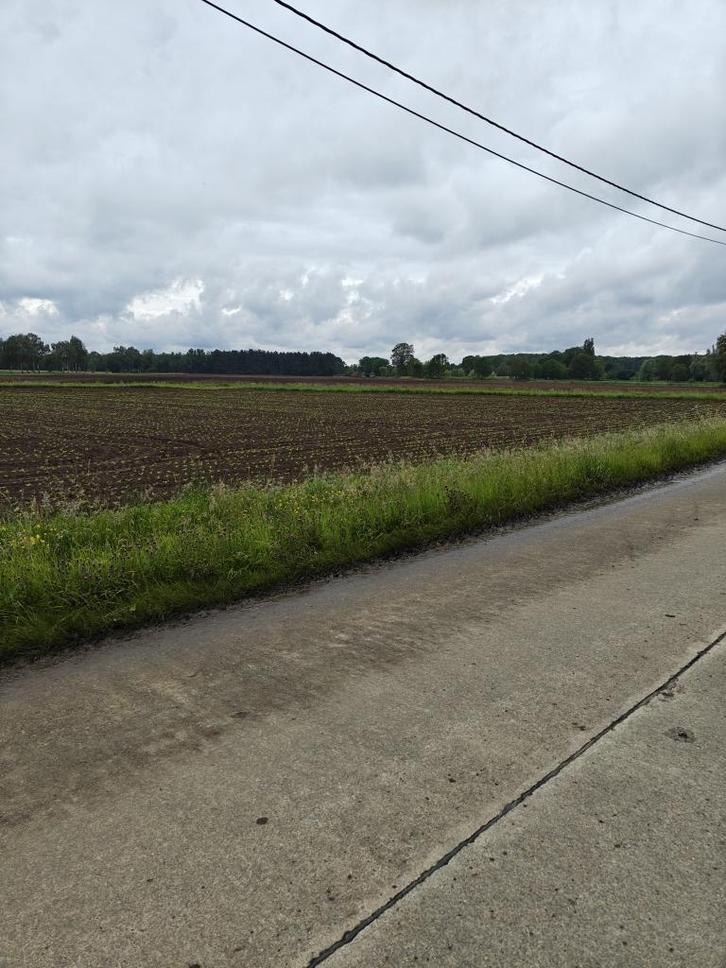 Landbouwgrond uitstekende locatie, Immo, Gronden en Bouwgronden, 1500 m² of meer, Verkoop zonder makelaar