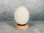 Grand œuf d'autruche décoratif unique, Envoi, Neuf