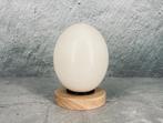 Grand œuf d'autruche décoratif unique, Maison & Meubles, Envoi, Neuf