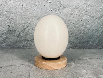 Grand œuf d'autruche décoratif unique