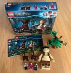 Lego Harry Potter 75967 Omber ontmoet Groemp, Enlèvement ou Envoi, Comme neuf, Ensemble complet, Lego