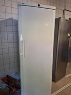 diepvriezer Liebherr, Elektronische apparatuur, Vriezers en Diepvrieskisten, Gebruikt, 160 cm of meer, Ophalen, Vrieskast