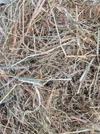 Frans hooi, Animaux & Accessoires, Nourriture pour Animaux, Enlèvement ou Envoi