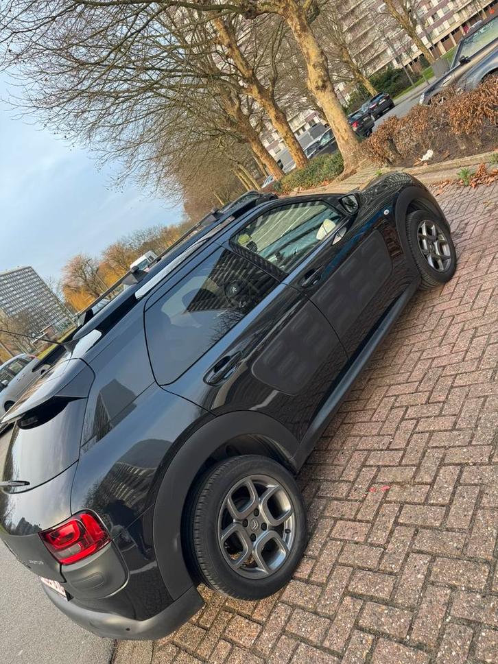 Citroën Cactus C4, Autos, Opel, Particulier, ABS, Caméra de recul, Phares directionnels, Régulateur de distance, Airbags, Air conditionné
