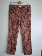 Damesbroek Miss Etam maat 38, Miss etam, Ophalen of Verzenden, Maat 38/40 (M), Lang