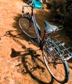 Fiets Oxford vrouwen, Fietsen en Brommers, Fietsen | Dames | Damesfietsen, Ophalen