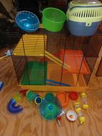 Cage hamster+accessoires, Animaux & Accessoires, Enlèvement ou Envoi, Comme neuf, Cage, Hamster