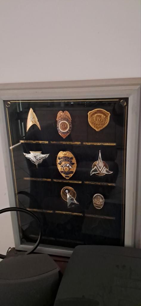 Insigne, Verzamelen, Militaria | Algemeen, Ophalen