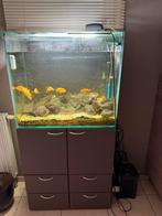 Aquarium, alles inbegrepen, Dieren en Toebehoren, Ophalen, Zo goed als nieuw