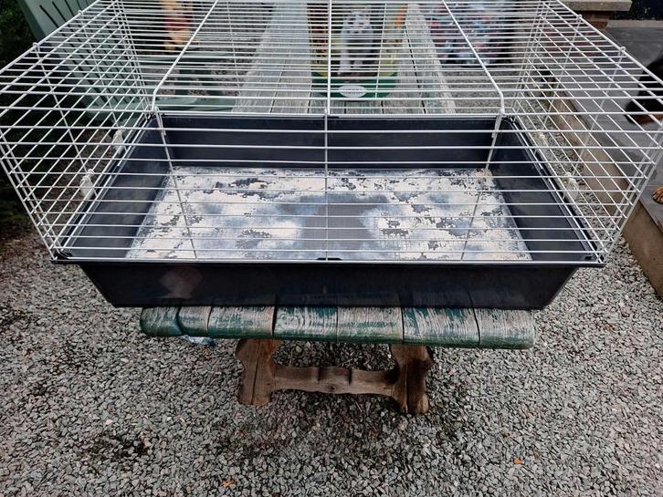 Gebruikte konijnenkooi te koop, Dieren en Toebehoren, Knaagdieren en Konijnen | Hokken en Kooien, Gebruikt, Kooi, Cavia, Konijn