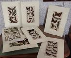 Diverse decoratieve grafiek- zie omschrijving, Antiek en Kunst, Ophalen