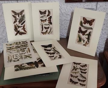 Diverse decoratieve grafiek- zie omschrijving beschikbaar voor biedingen